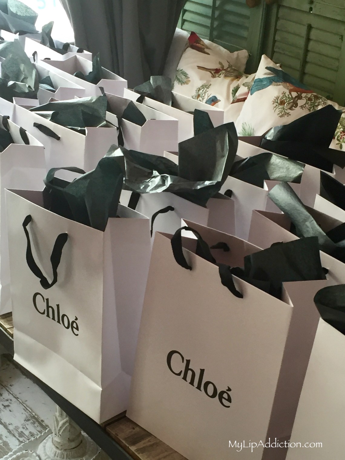 Bags at Chloe Mylipaddiction.com