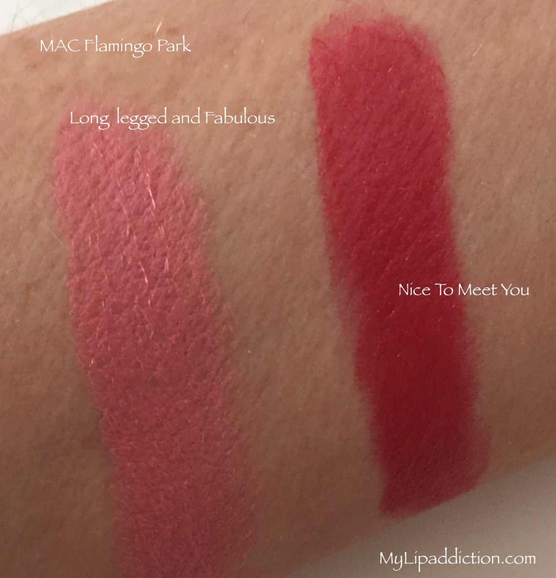 Flamingo Park Swatches MyLipaddiction.com