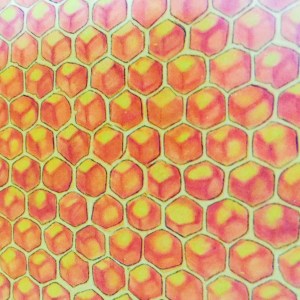 packaging-farmacy-mylipaddiction